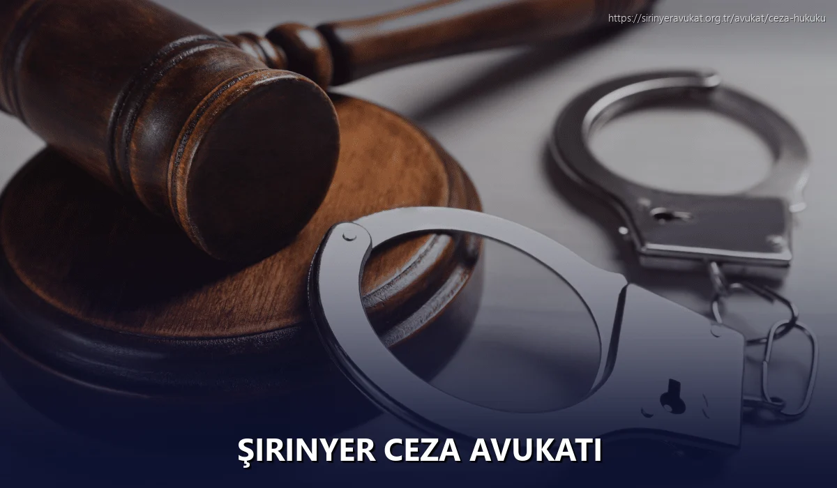 Şirinyer Ceza Avukatı