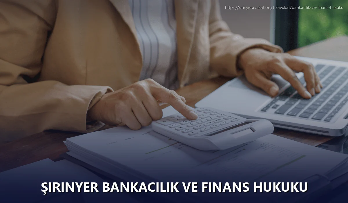 Şirinyer Bankacılık ve Finans Hukuku